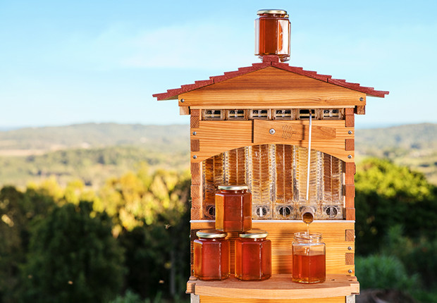 7stk Automatische Honig Bienen Hive Bienenstock Bienenhaus Beute Haus Bauernho 