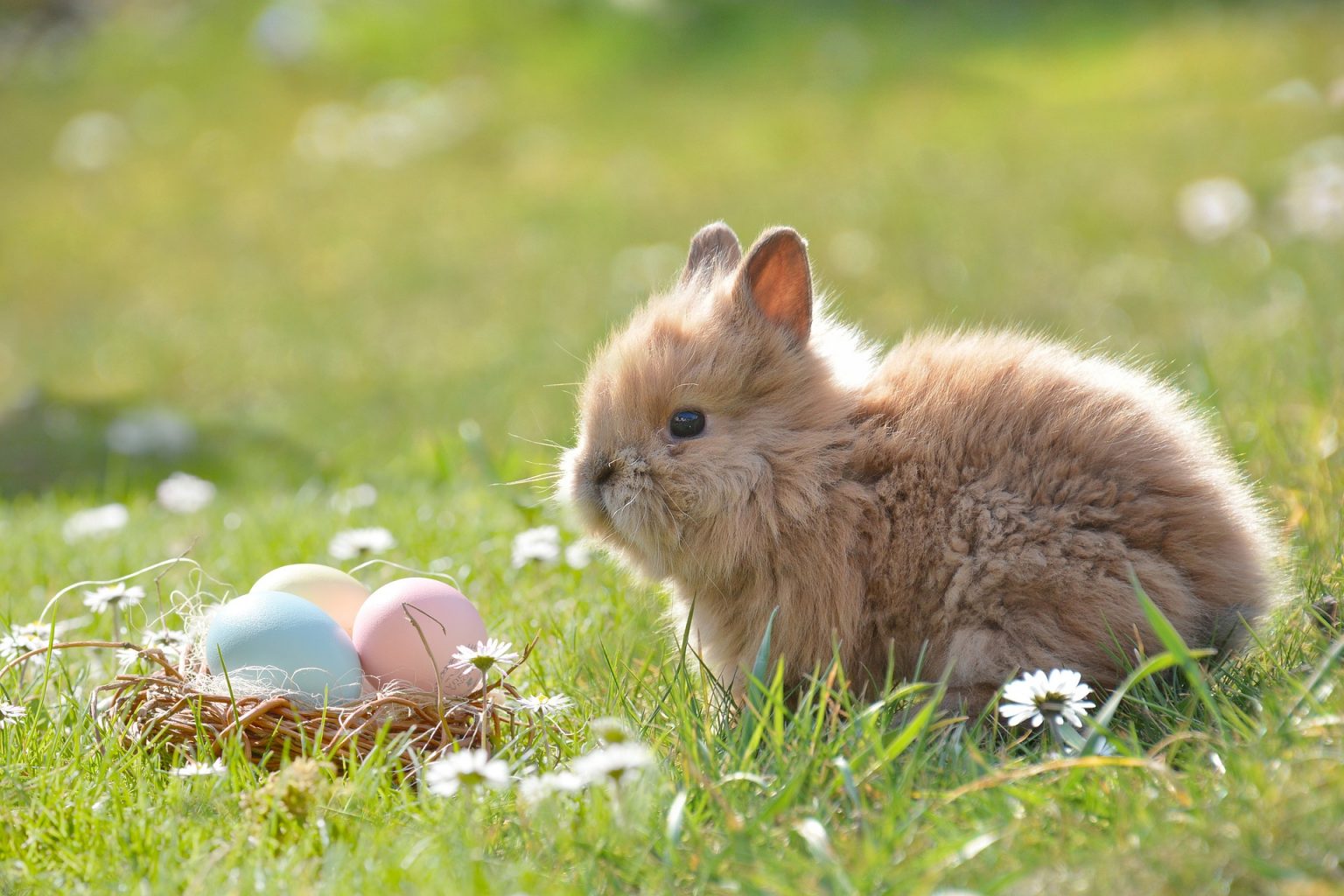 Ostern mal nachhaltig: umweltbewusst und fair die Ostertage verbringen
