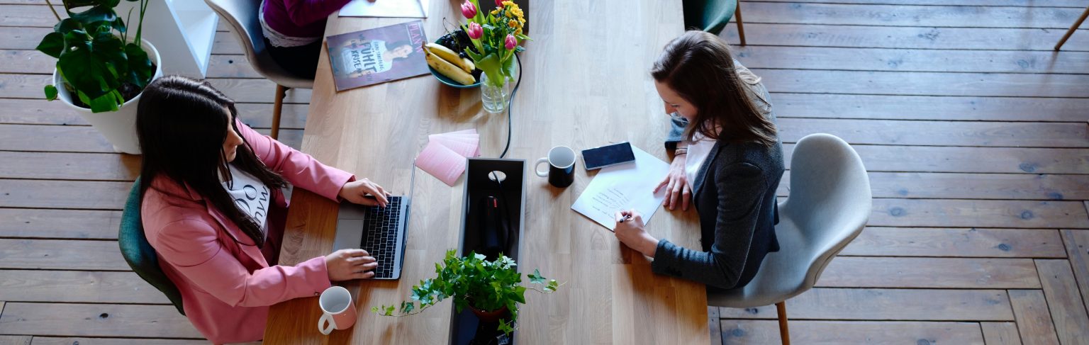 Angelina Probst von Social Impact begab sich auf Spurensuche in Sachsen-Anhalt und Mecklenburg-Vorpommern, um einen Einblick in die Entwicklungen, Potenziale und Herausforderungen von regionalen Sozialgründungen zu erhalten.